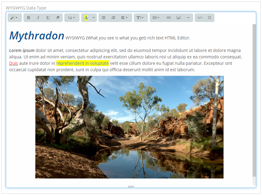 The Rich Text field in Mythradon is a text box where you can write and format text. It comes with a toolbar that helps you change things like font size, style, and colour. You can also create tables and add pictures. You can adjust how big the text box looks on the screen.